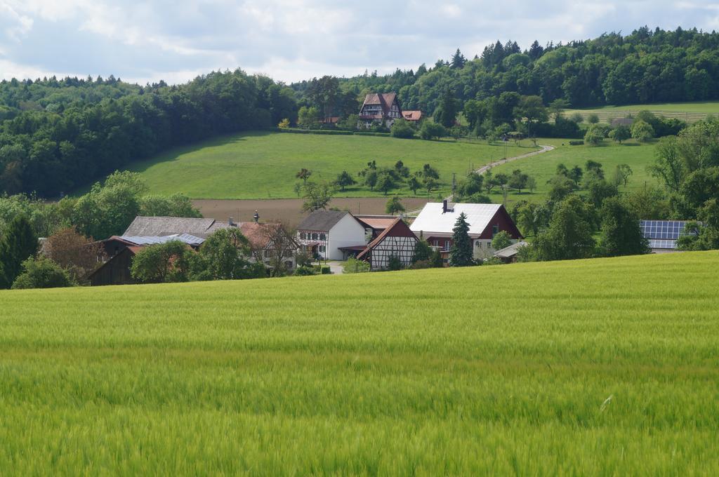 Bolderhof Villa Hemishofen Eksteriør billede